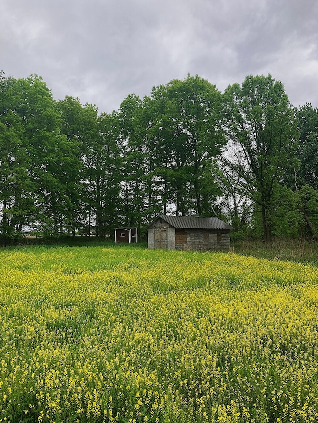 7560 W Washington Rd, Sumner, MI 48889 - view of yard featuring a shed