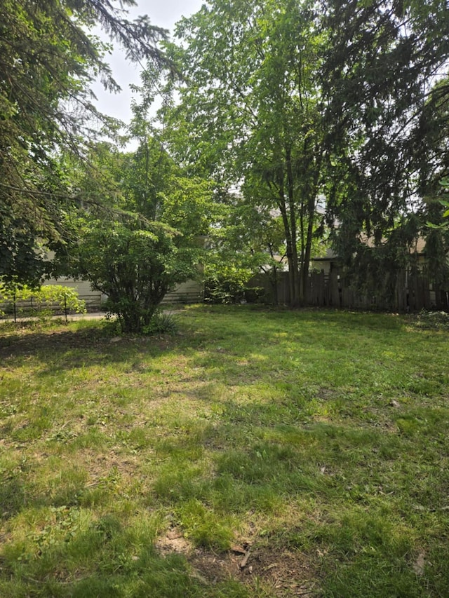 1111 E Michigan Ave, Albion, MI 49224 - view of yard