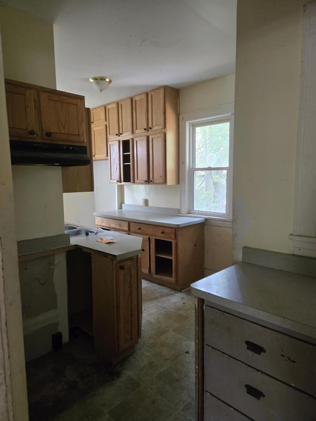 1111 E Michigan Ave, Albion, MI 49224 - kitchen with under cabinet range hood and brown cabinets