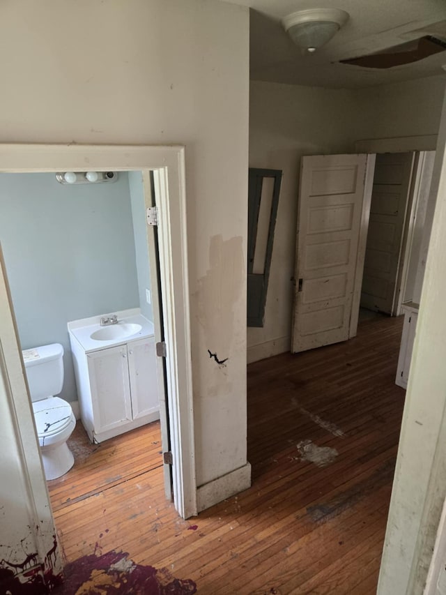 1111 E Michigan Ave, Albion, MI 49224 - bathroom with wood-type flooring and vanity