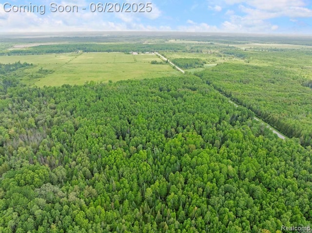 18031 State Highway M28, Newberry, MI 49868 - drone / aerial view of a forest