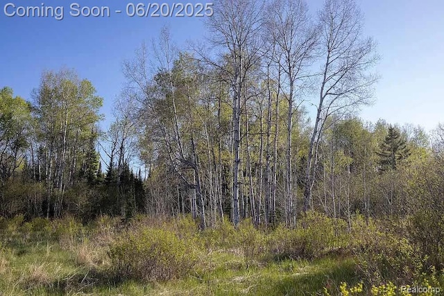 18031 State Highway M28, Newberry, MI 49868 - view of tree filled area