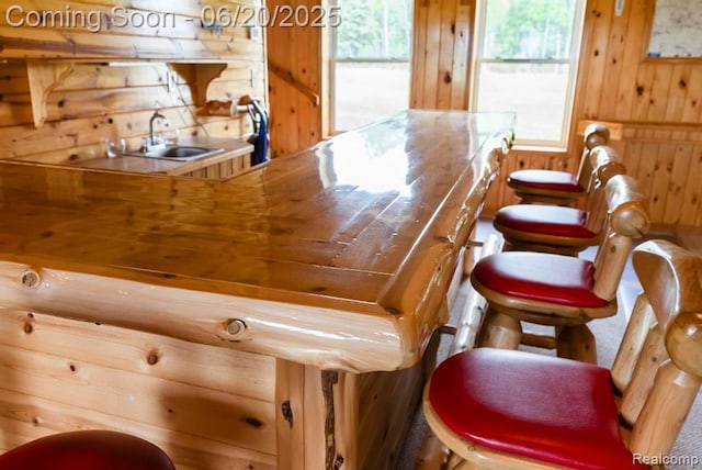18031 State Highway M28, Newberry, MI 49868 - indoor wet bar with healthy amount of natural light and wooden walls