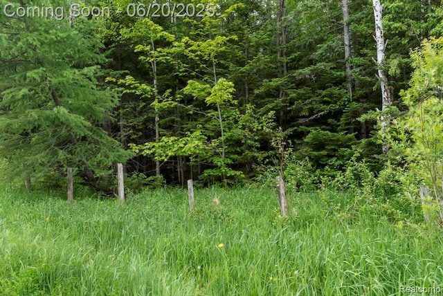 18031 State Highway M28, Newberry, MI 49868 - view of undeveloped land