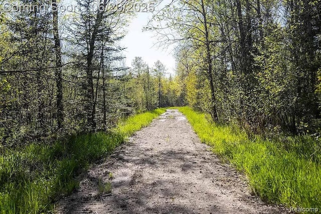 18031 State Highway M28, Newberry, MI 49868 - view of road with a wooded view