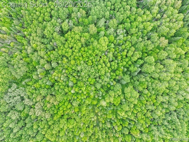 18031 State Highway M28, Newberry, MI 49868 - aerial view of property and surrounding area