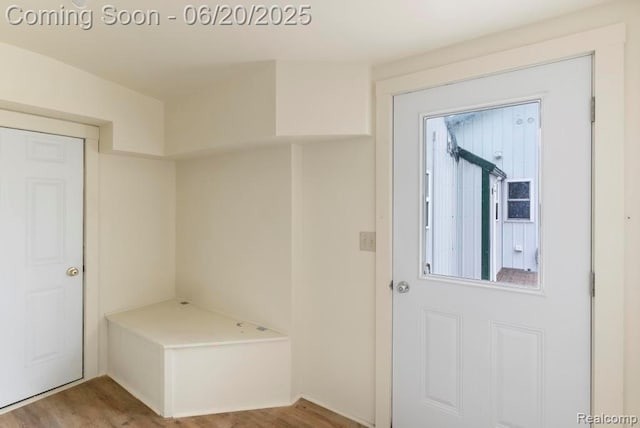 18031 State Highway M28, Newberry, MI 49868 - mudroom featuring light wood-type flooring and plenty of natural light