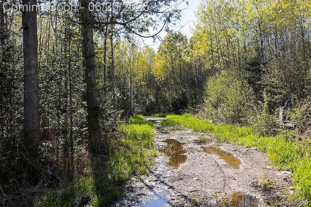 18031 State Highway M28, Newberry, MI 49868 - view of wooded area