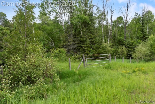 18031 State Highway M28, Newberry, MI 49868 - view of yard featuring a forest view