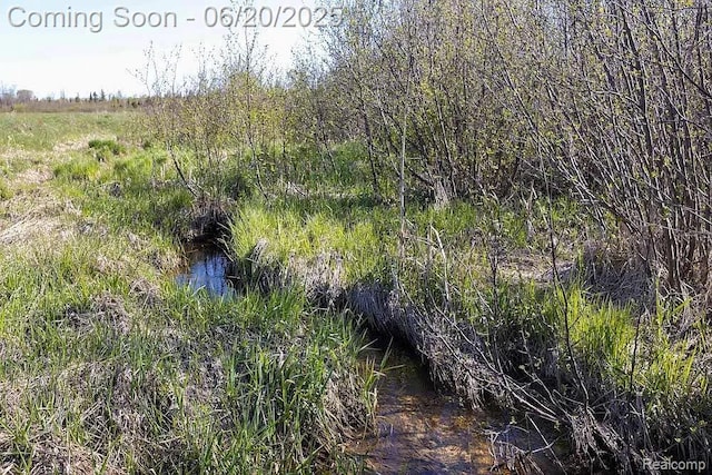18031 State Highway M28, Newberry, MI 49868 - view of nature