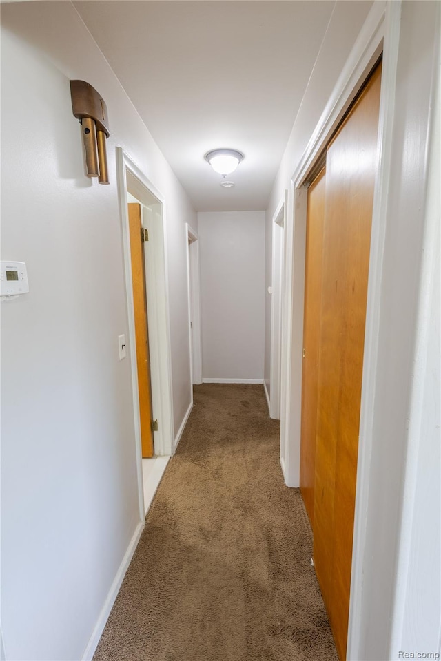 16788 Lincoln Ave, Eastpointe, MI 48021 - hallway featuring carpet floors and baseboards