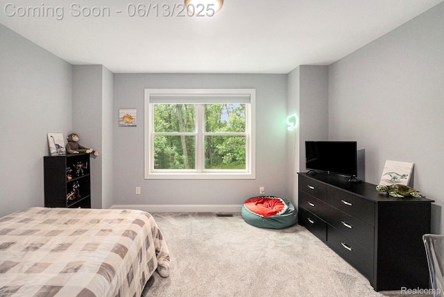 5950 Mountain Top Dr, Brighton, MI 48116 - bedroom with carpet and baseboards