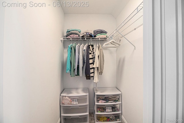 5950 Mountain Top Dr, Brighton, MI 48116 - view of spacious closet