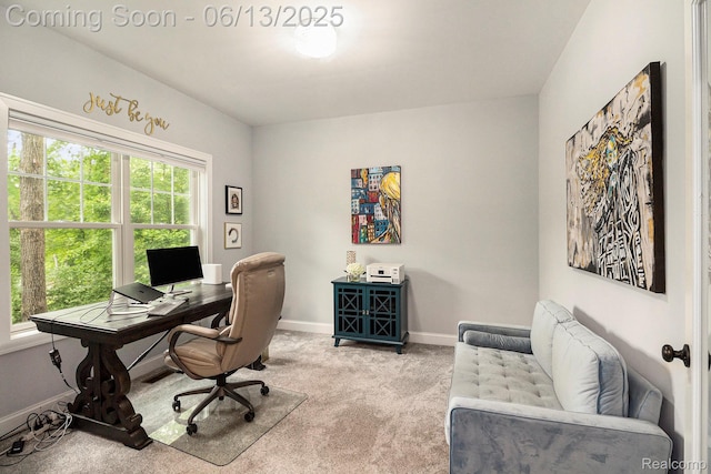 5950 Mountain Top Dr, Brighton, MI 48116 - office featuring light carpet and baseboards