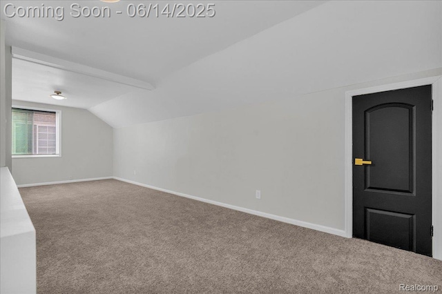 18336 Glastonbury Rd, Detroit, MI 48219 - bonus room featuring carpet and lofted ceiling