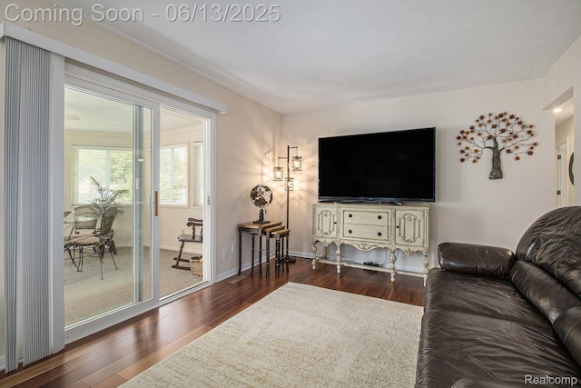 11124 Colony Rd, Pinckney, MI 48169 - living room featuring wood finished floors