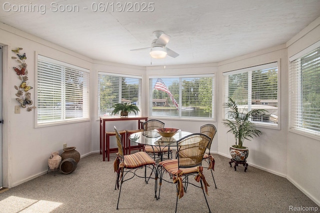 11124 Colony Rd, Pinckney, MI 48169 - sunroom featuring carpet flooring and baseboards