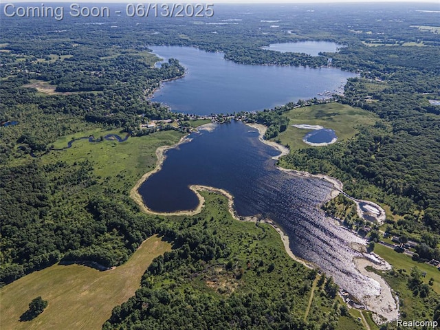 11124 Colony Rd, Pinckney, MI 48169 - aerial overview of property's location featuring a large body of water and a forest