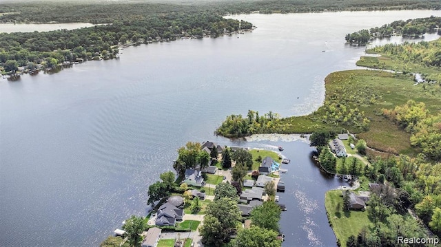 11124 Colony Rd, Pinckney, MI 48169 - view of property location featuring a large body of water and a heavily wooded area