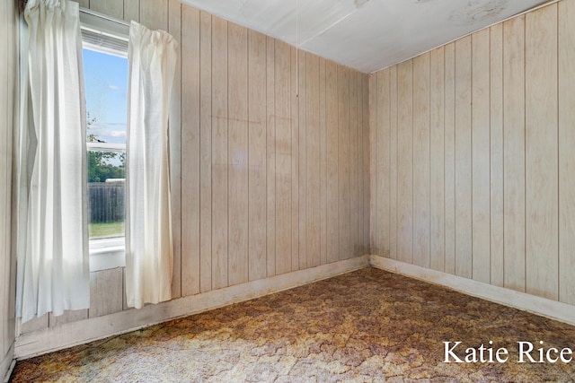 8974 Park St, Montague, MI 49437 - spare room with wooden walls and healthy amount of natural light