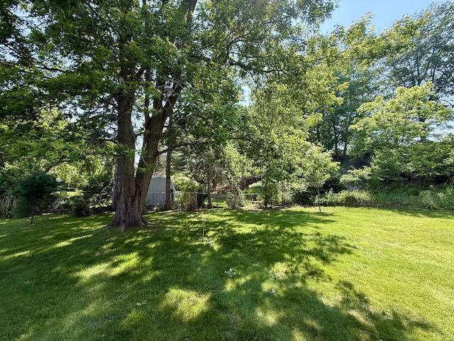 334 Terrill Ave, Grand Haven, MI 49417 - view of grassy yard