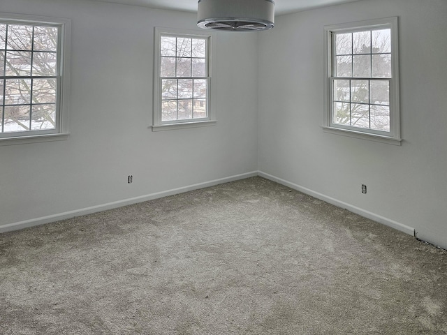 334 Terrill Ave, Grand Haven, MI 49417 - spare room with plenty of natural light and carpet floors