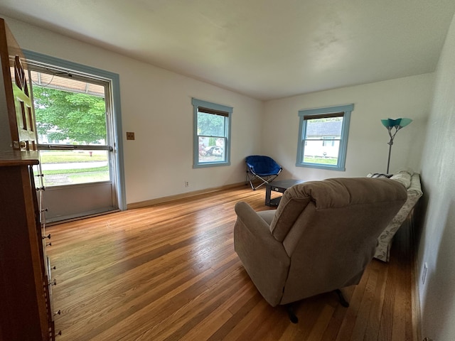 216 Bradley St, Dowagiac, MI 49047 - living room with plenty of natural light and light wood-style flooring