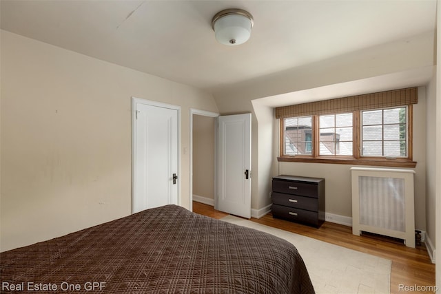 542 Cadieux Rd, Grosse Pointe, MI 48230 - bedroom featuring light wood-style flooring and radiator
