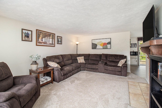 5890 N Oceana Dr, Hart, MI 49420 - living room with light carpet and a textured ceiling