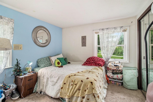 5890 N Oceana Dr, Hart, MI 49420 - view of carpeted bedroom