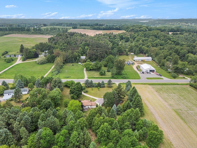 5890 N Oceana Dr, Hart, MI 49420 - aerial view of sparsely populated area with a forest