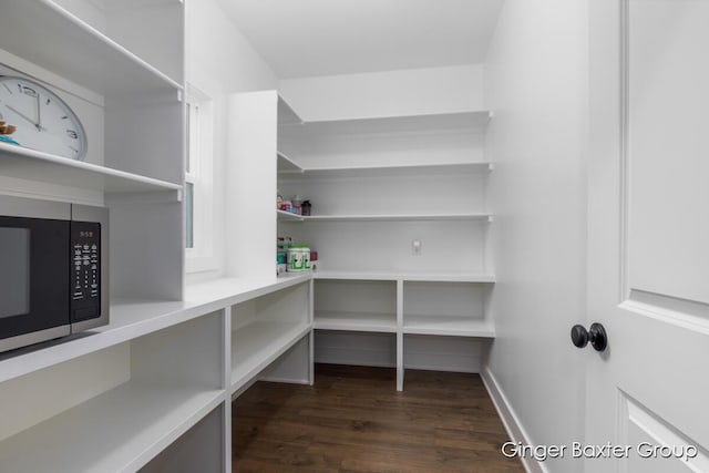11569 Sessions Woods Dr W, Grand Rapids, MI 49534 - view of pantry