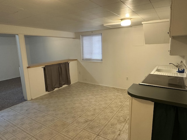 7 S Normal St, Ypsilanti, MI 48197 - below grade area featuring a sink and light floors