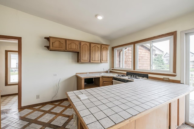 9634 Bonnie Briar St, White Lake, MI 48386 - photo 17