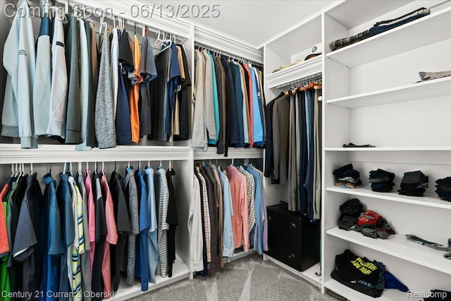 707 S Altadena Ave, Royal Oak, MI 48067 - view of spacious closet