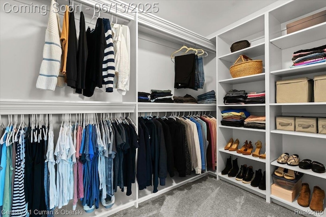 707 S Altadena Ave, Royal Oak, MI 48067 - spacious closet with carpet