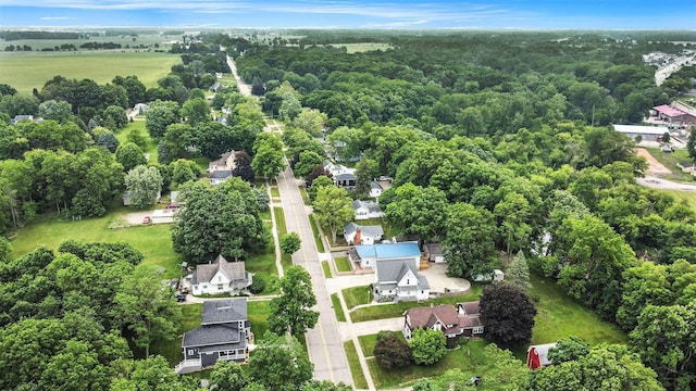 404 Looking Glass Ave, Portland, MI 48875 - photo 28