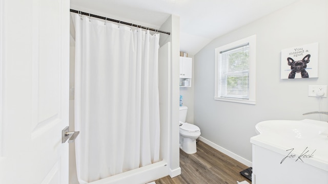 1204 Witham Rd, Muskegon, MI 49445 - bathroom with wood finished floors, lofted ceiling, vanity, and a shower with curtain