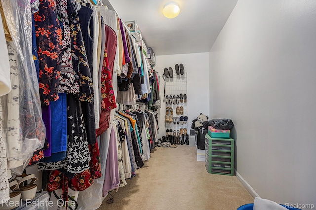 2842 Manorwood Dr, Troy, MI 48085 - walk in closet featuring carpet floors