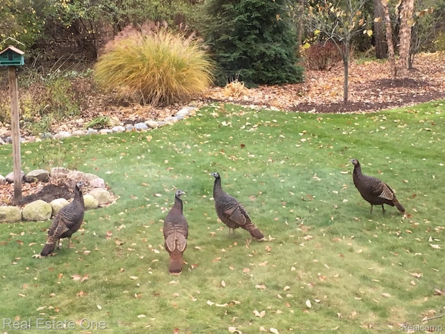 2842 Manorwood Dr, Troy, MI 48085 - view of grassy yard