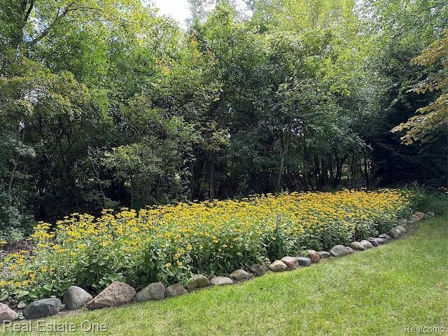 2842 Manorwood Dr, Troy, MI 48085 - view of grassy yard featuring a forest view