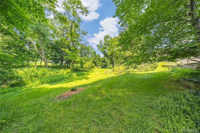 26165 Hidden Valley Dr, Farmington Hills, MI 48331 - view of grassy yard
