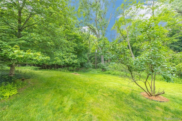 26165 Hidden Valley Dr, Farmington Hills, MI 48331 - view of green lawn featuring a wooded view