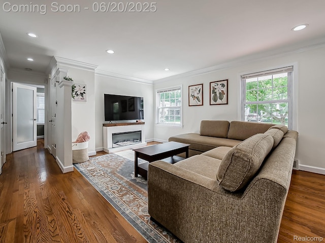 1036 Ferris Ave, Berkley, MI 48067 - living room with ornamental molding, plenty of natural light, wood finished floors, recessed lighting, and a fireplace