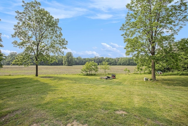 324 Cranson Rd, Bronson, MI 49028 - view of green lawn featuring a rural view