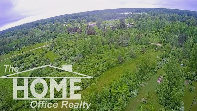 4772 Rossman Rd, Kingston, MI 48741 - photo 49
