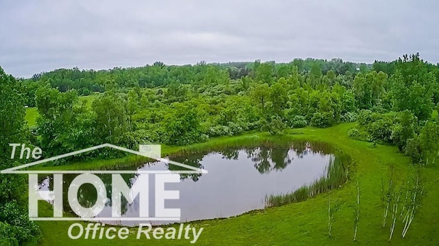 4772 Rossman Rd, Kingston, MI 48741 - photo 45
