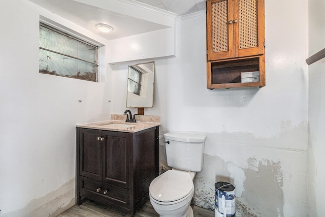 300 Basswood Ter, Brooklyn, MI 49230 - bathroom with toilet and vanity