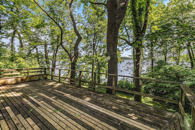 300 Basswood Ter, Brooklyn, MI 49230 - wooden deck featuring a water view