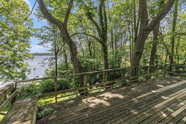 300 Basswood Ter, Brooklyn, MI 49230 - deck with a water view